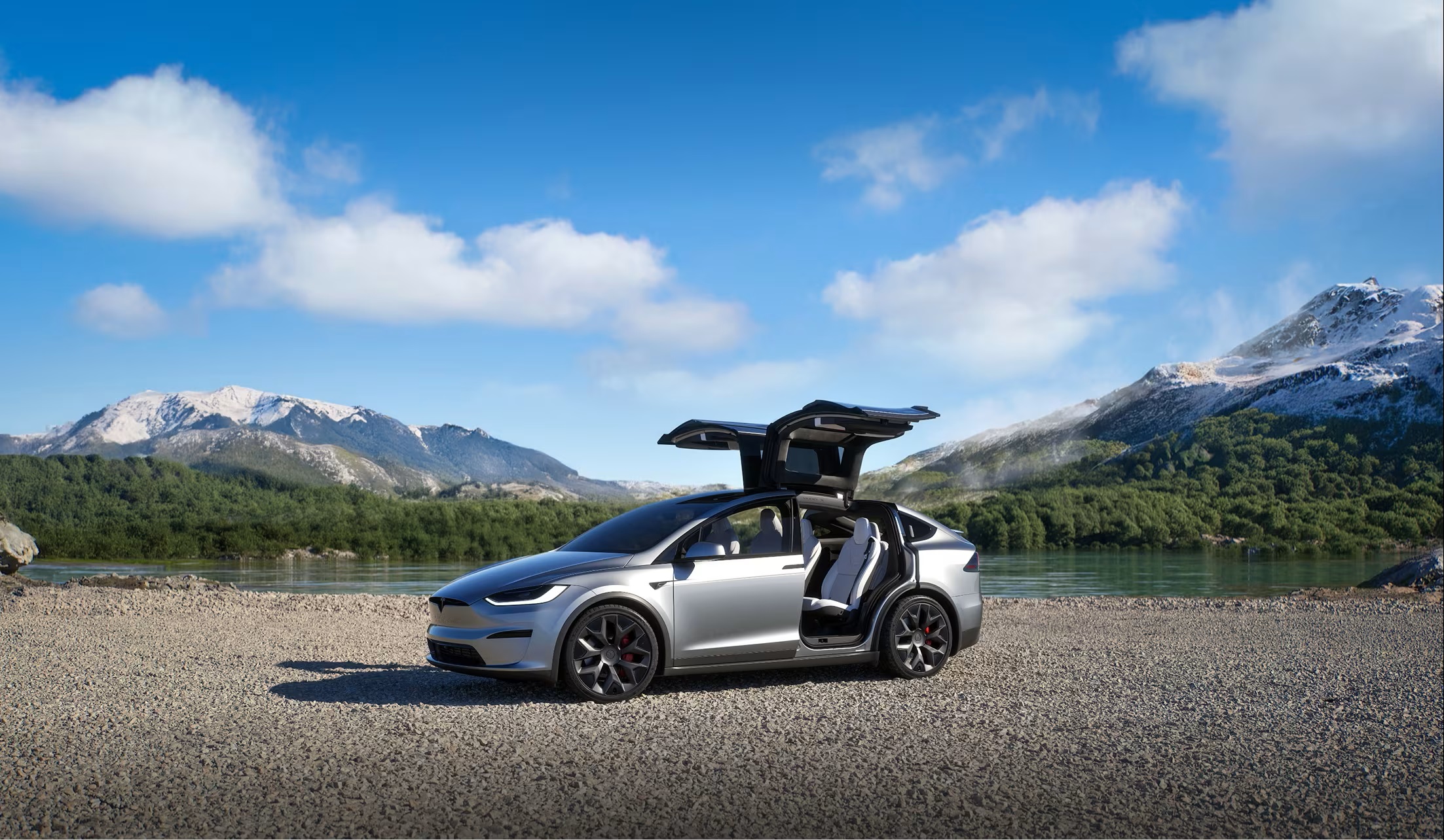 Model X